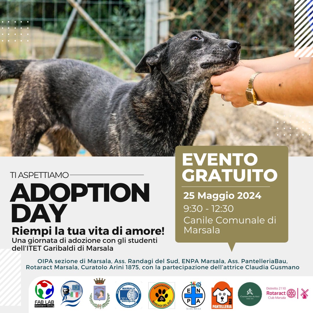 “Adoption Day” al Canile Comunale