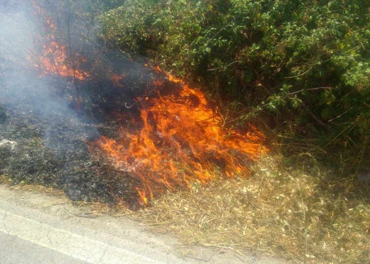 Emanata una ordinanza per la prevenzione degli incendi boschivi e di sterpaglie e per la tutela del decoro urbano in vista della stagione estiva