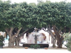 Municipio