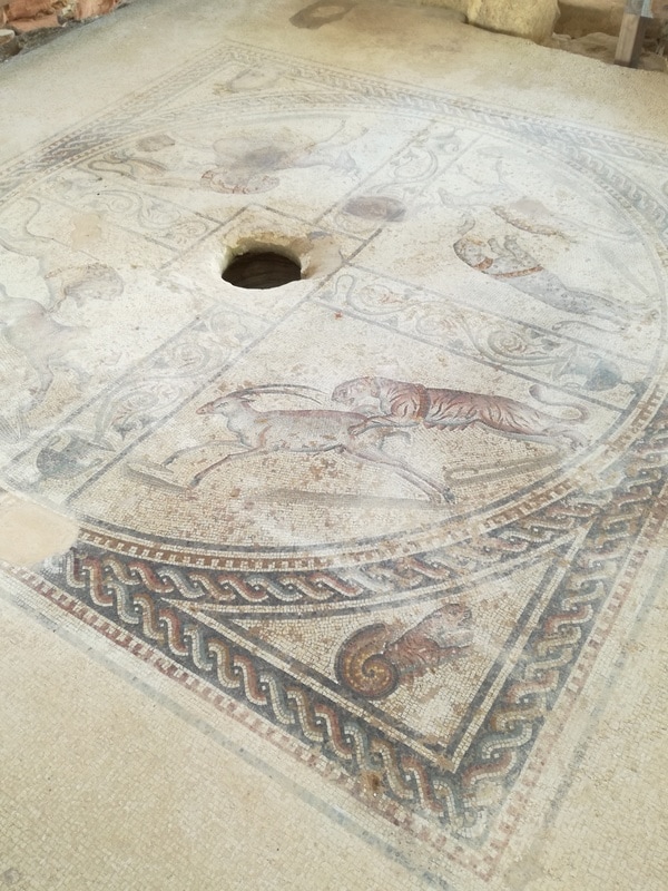 Nave Punica e Parco Lilibeo